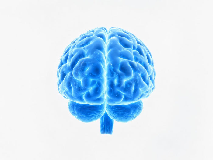 āļāļ·āđāļāļāļąāļ§ āđāļāļāļąāļŠāđāļ§